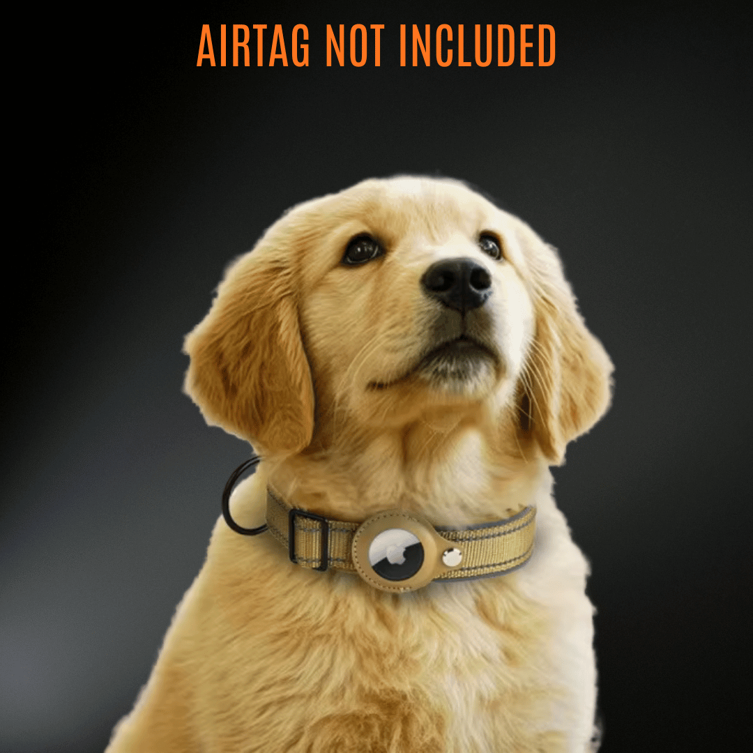 AirTag Dog Collar Reflectiv