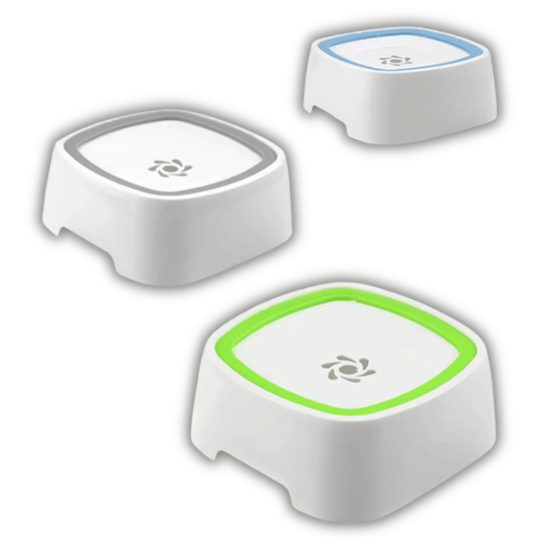 Dog Drinking Water Bowl