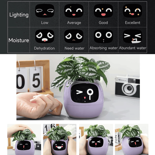 Tuya Ivy Smart Planter – The Future of Plant Care