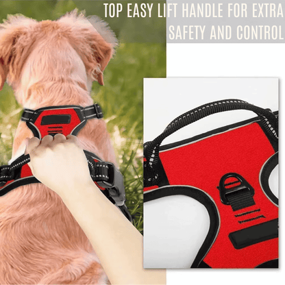 Dog Collars & Harness Set