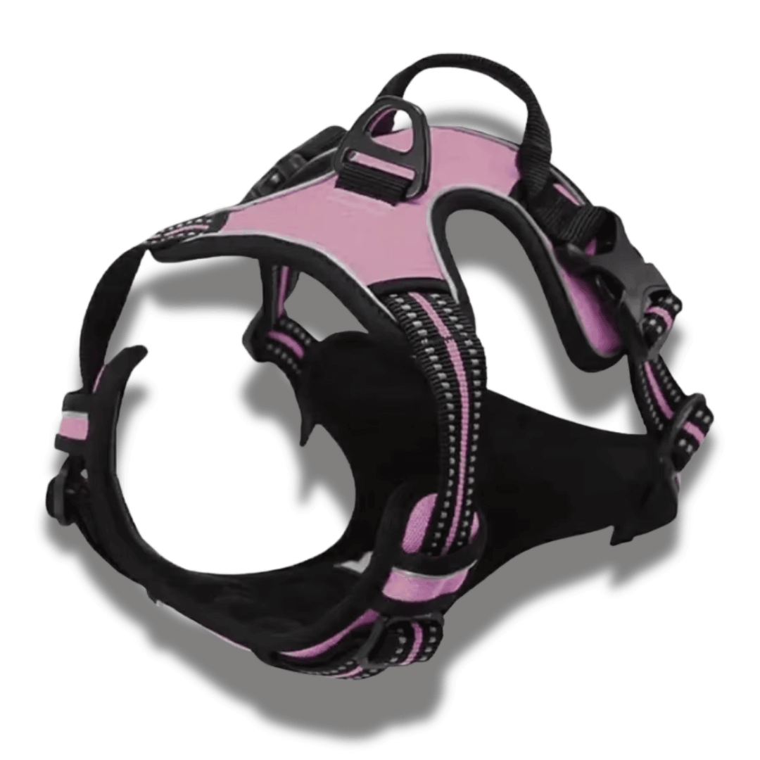 Dog Collars & Harness Set