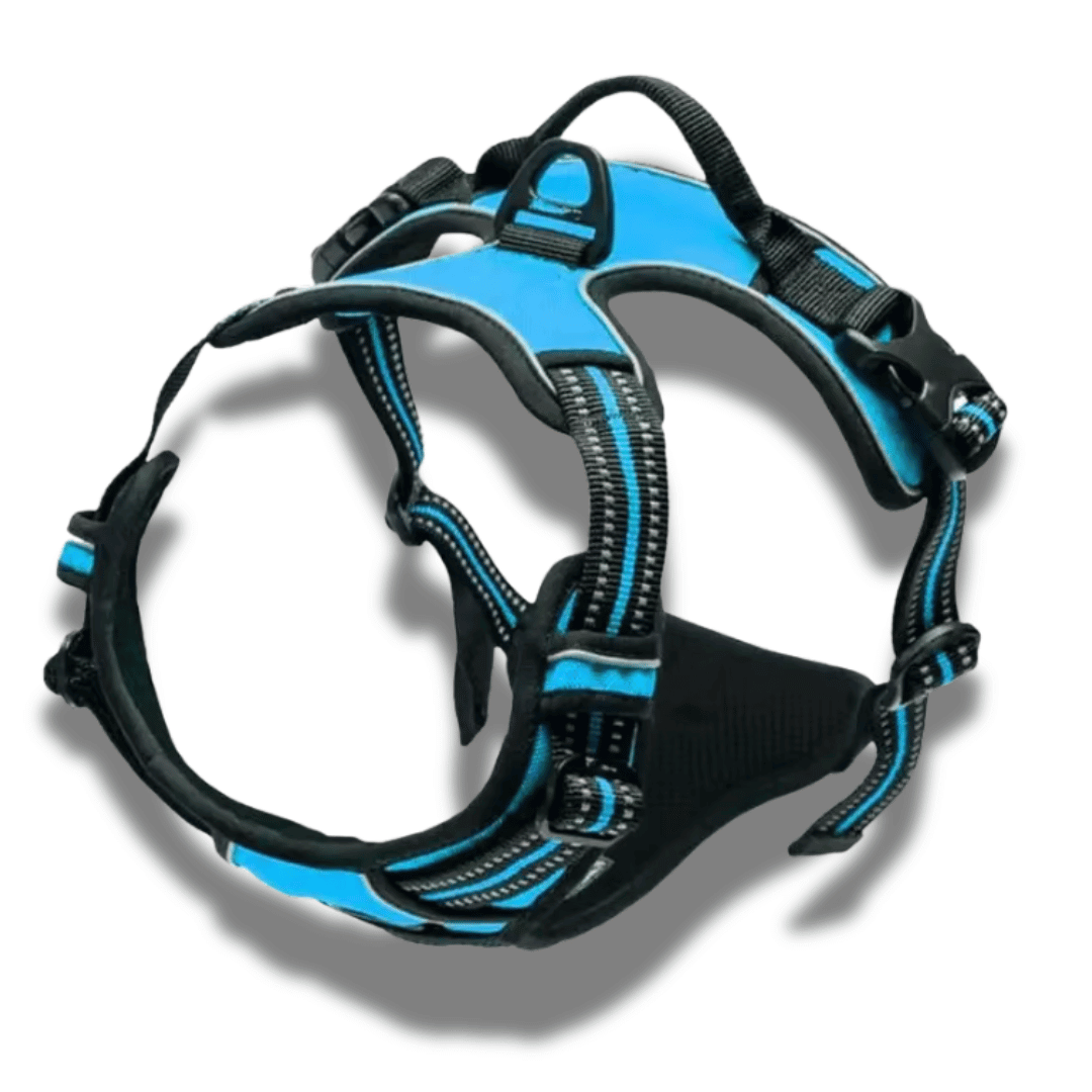 Dog Collars & Harness Set