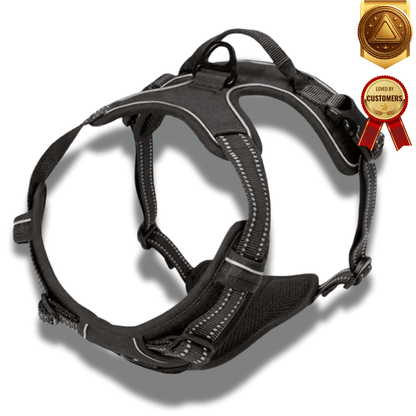 Dog Collars & Harness Set