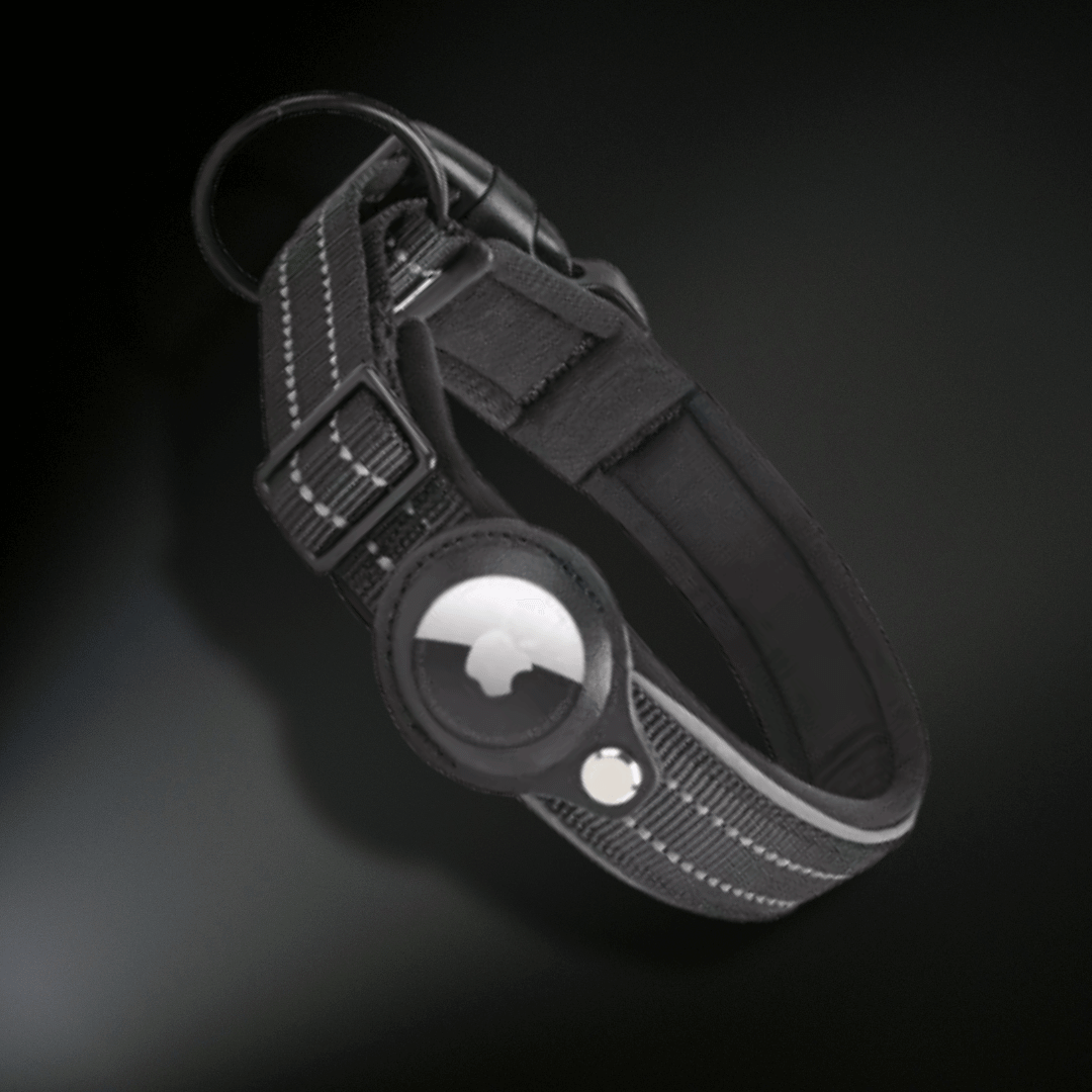 AirTag Dog Collar Reflectiv