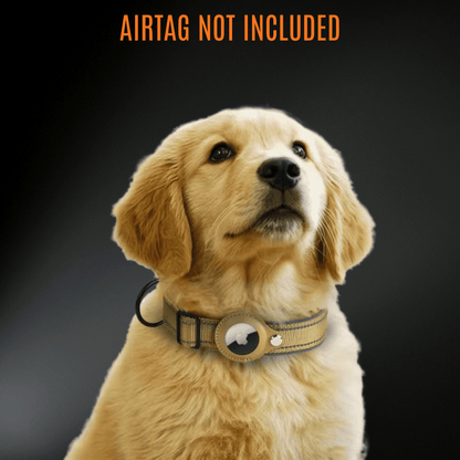 AirTag Dog Collar Reflectiv