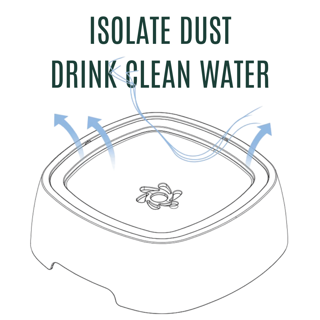 Dog Drinking Water Bowl