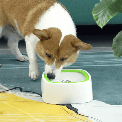 Dog Drinking Water Bowl