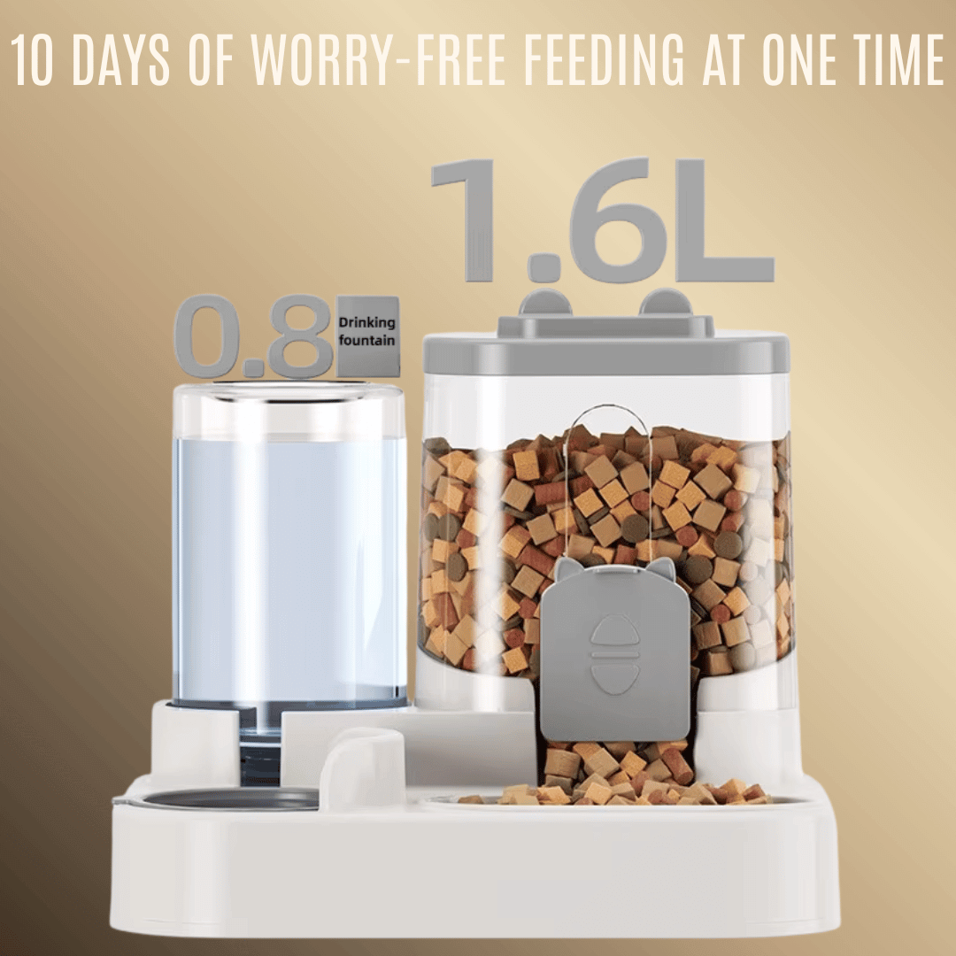 Cat Bowl Automatic Feeder with Spill-Proof Water Fountain