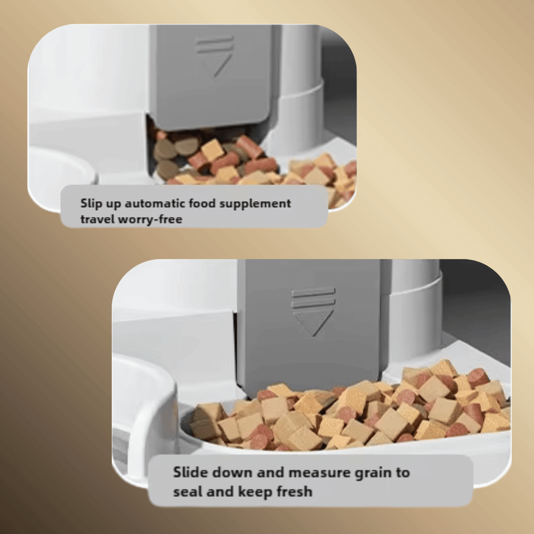 Cat Bowl Automatic Feeder with Spill-Proof Water Fountain