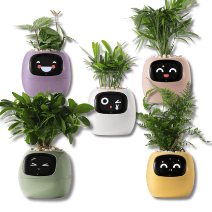 Tuya Ivy Smart Planter – The Future of Plant Care