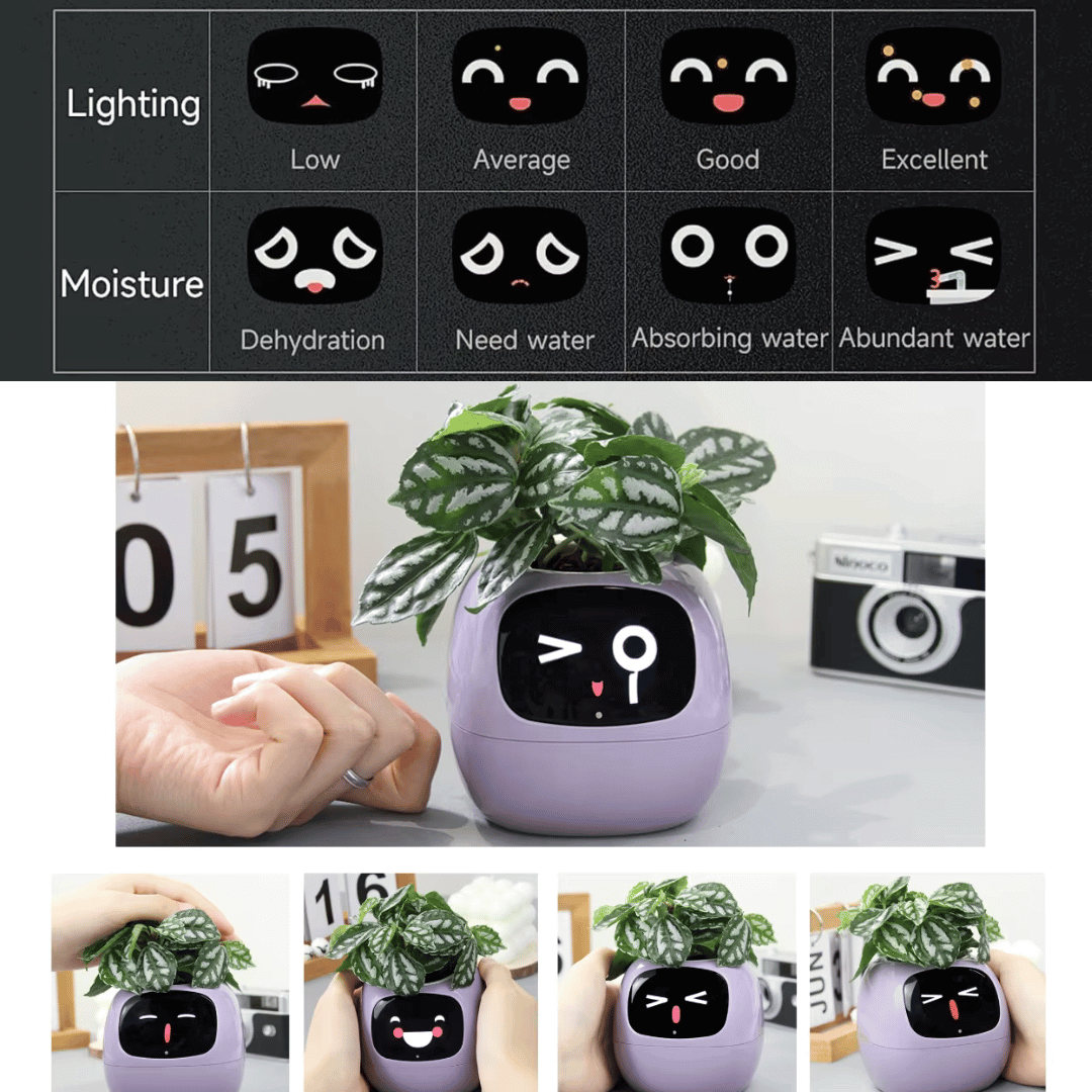 Tuya Ivy Smart Planter – The Future of Plant Care