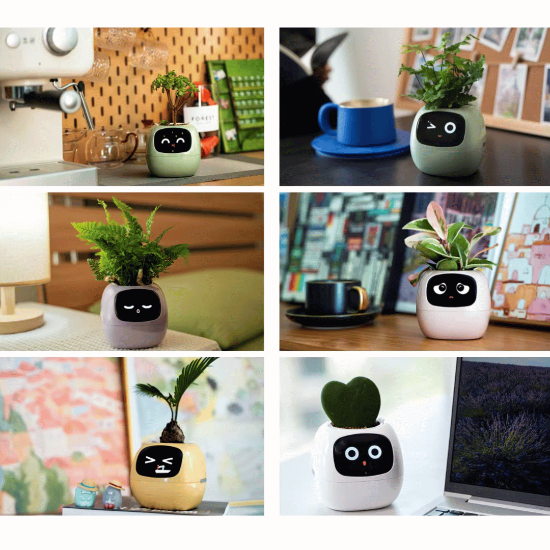 Tuya Ivy Smart Planter – The Future of Plant Care