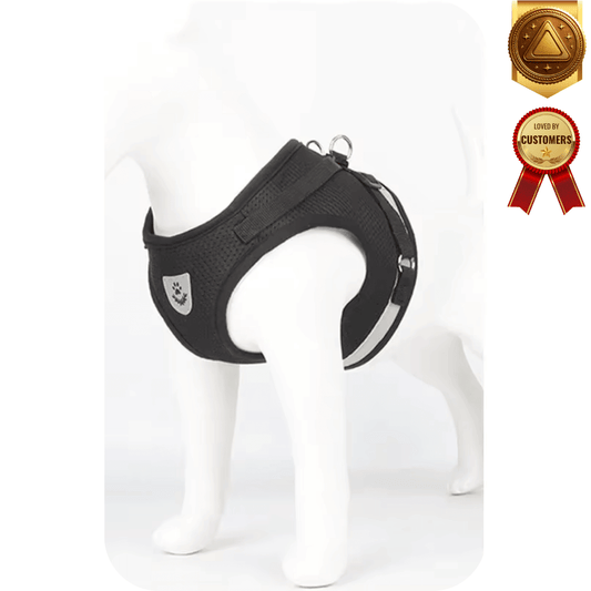 Cat Harness & Leash Set