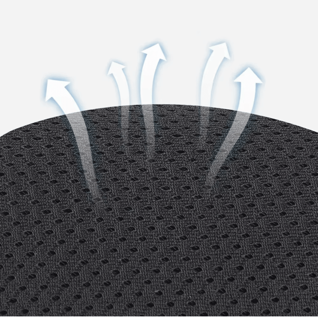 Cat Harness & Leash Set