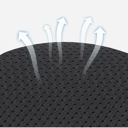 Cat Harness & Leash Set