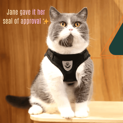 Cat Harness & Leash Set