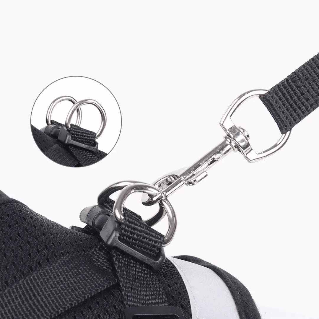 Cat Harness & Leash Set