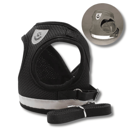 Cat Harness & Leash Set
