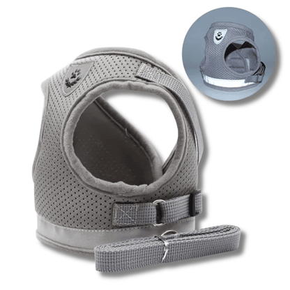 Cat Harness & Leash Set