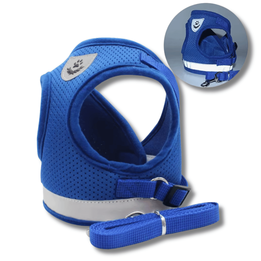 Cat Harness & Leash Set
