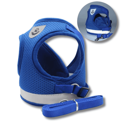 Cat Harness & Leash Set
