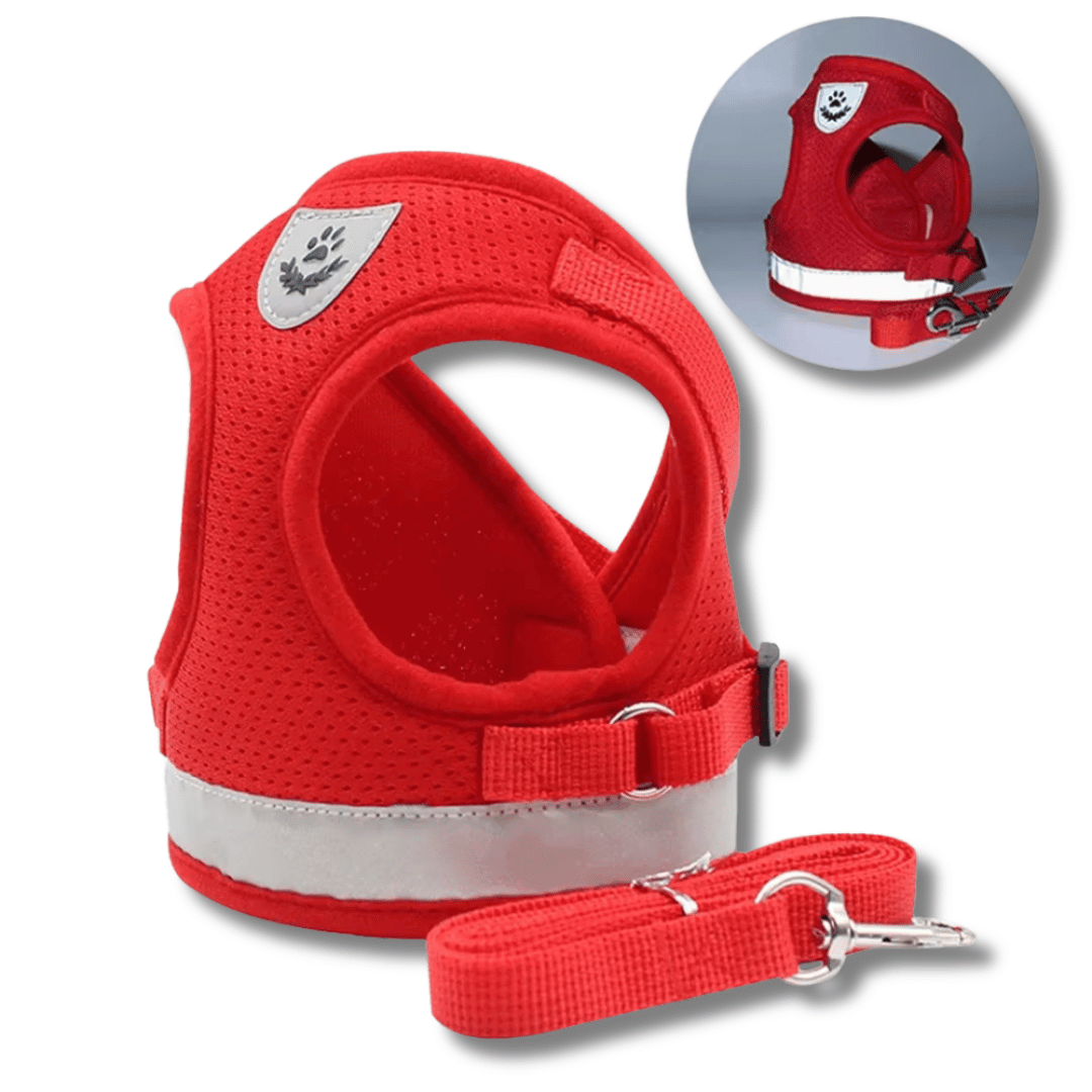 Cat Harness & Leash Set